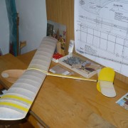 Vosa (školní kluzák)