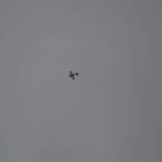 16.8. Modelářská show