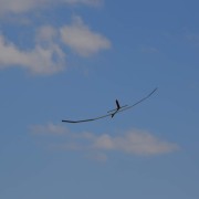 8.8. RCVS Česká Třebová