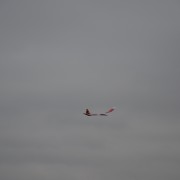 17.11. Limit Cup 2021