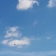 14.5. Jihlavská liga