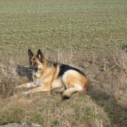 Březnové létání